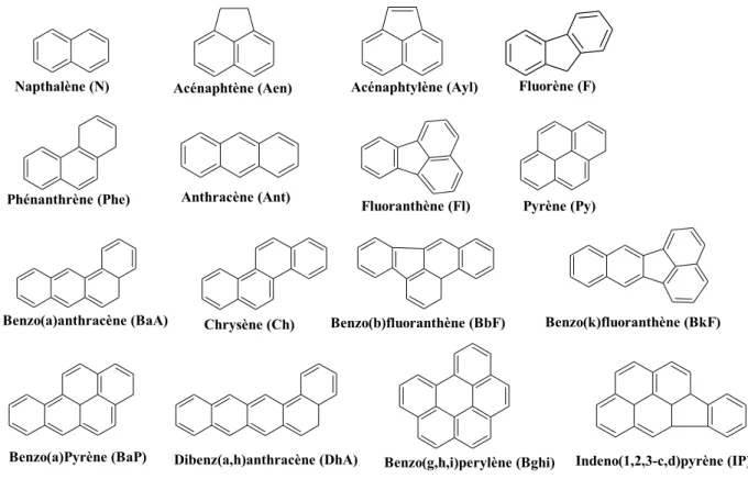 Figure 1: Structures chimiques des 16 HAP dans la liste prioritaires de l'US-EPA 