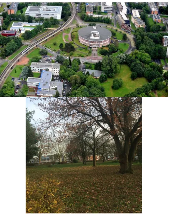 Figure 11: Site de prélèvement, parking du campus de l'Université Lille1, France 