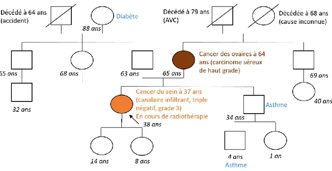 Figure 2 : Exemple d’arbre généalogique dessiné en consultation d’Oncogénétique 
