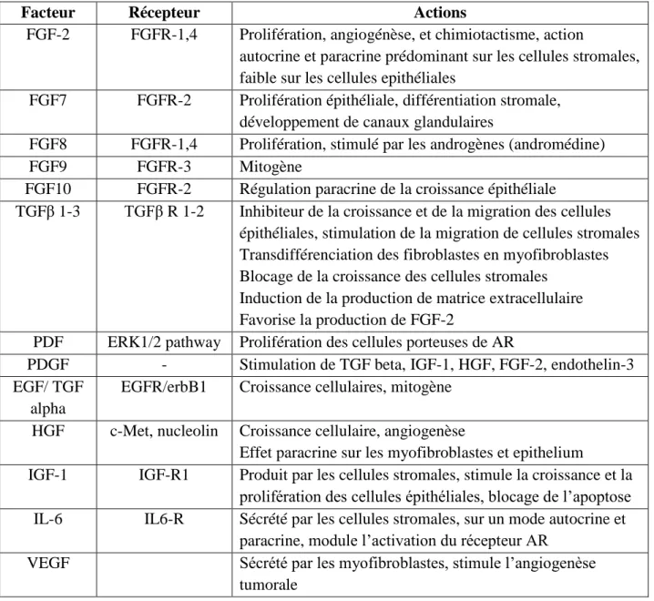 Tableau  1.  Principales  molécules  identifiées  comme  produites  par  les  cellules  stromales  et  épithéliales prostatiques, en réponse à une stimulation par la voie des androgènes (d‟après [5])