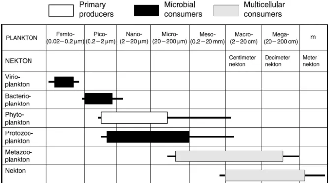 Figure  1.  Les  différentes  taxonomies  du  plancton  selon  leur  fraction  de  tailles  en  comparaison  avec  celles  du  necton