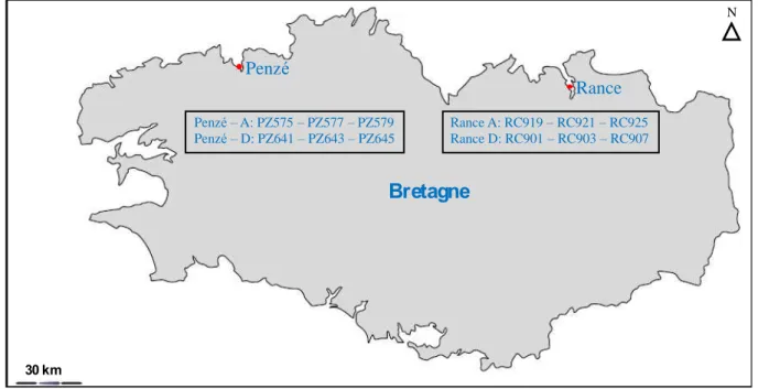 Figure 3. Localisation des estuaires de la Penzé et de la Rance et liste des souches A