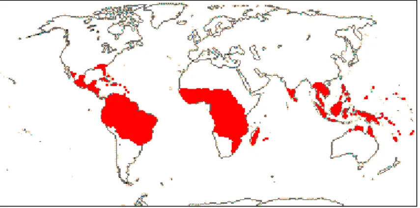 Figure 2: Répartition géographique des Chrysobalanaceae dans le monde  (http://www.mobot.org) 