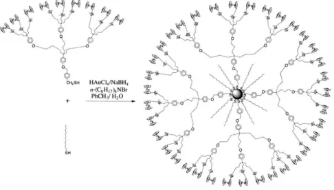 Figure  I-9.  Reduction  and  stabilization  of  gold  nanoparticles  with  long  chains  of  thiols and dendrimers [18]