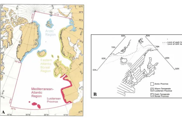 Figure 9. Régions biogéographiques actuelles dans l’Atlantique Nord Est selon Forbes (1856)  et redessiné par Briggs (1995) (A) et selon Briggs (1974) dans Earll &amp; Farnham (1983) (B)