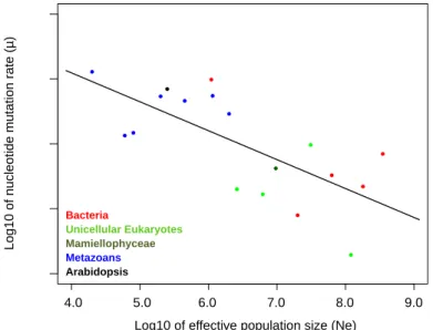 Figure 2.  Correlation of the base substitution mutation rate  and the effective population size (n=17,  Pearson correlation P-value<0.001,  " =-0.71)