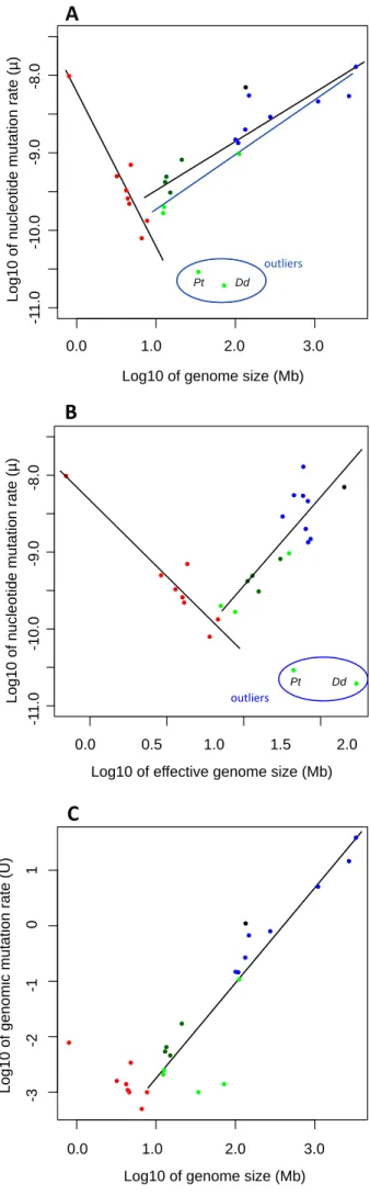 Figure 3.  Correlation of the base  substitution mutation rate,  µ,  in log10  scale. Raw data come from Table S10