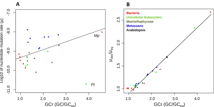Figure 4.  Correlation between mutation rate and gap from GC equilibrium. Pt is Paramecium  tetraurelia and Mp is Mesoplasma florum