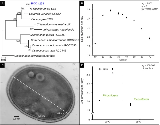 Figure 1. (A)  Phylogenetic tree summarizing the position of  Picochlorum  RCC4223 in green  Chlorophyta, using 18S rDNA sequence