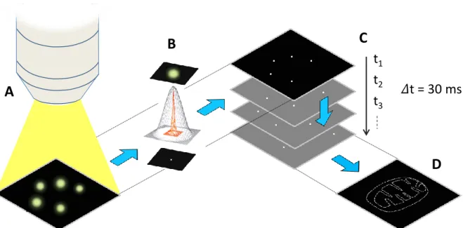 Figure 17 : Principe des SMLM, basé sur la localisation de sondes fluorescentes isolées