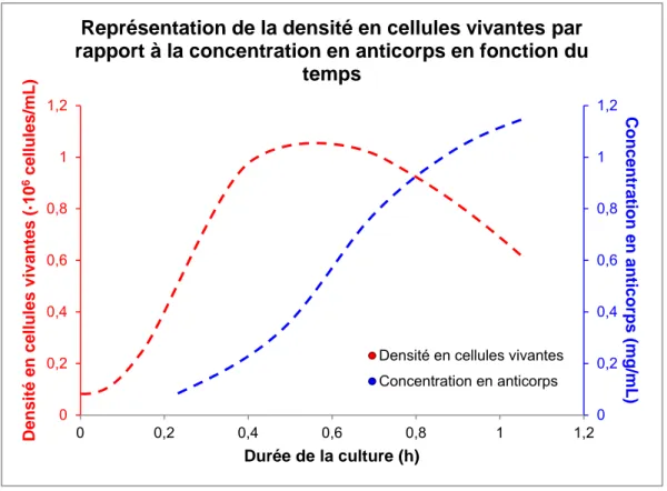 Figure 1.2 Représentation de l’évolution de la densité en cellules vivantes (VCD pour Viable Cell Density)  et de la concentration en anticorps au cours de la culture cellulaire