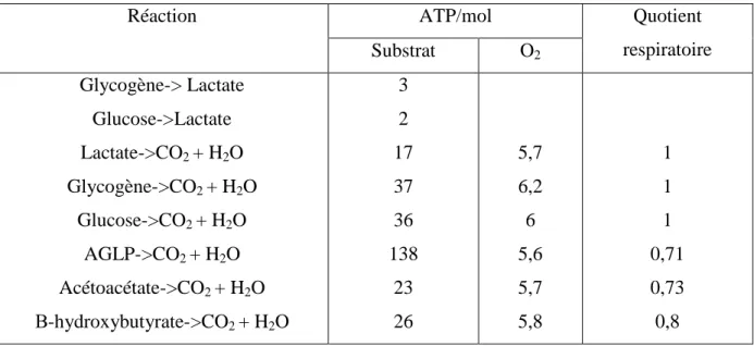 Tableau 2 : production d’ATP par unité de substrat consommé selon la voie métabolique  concernée (Grandjean et al., 1992) 