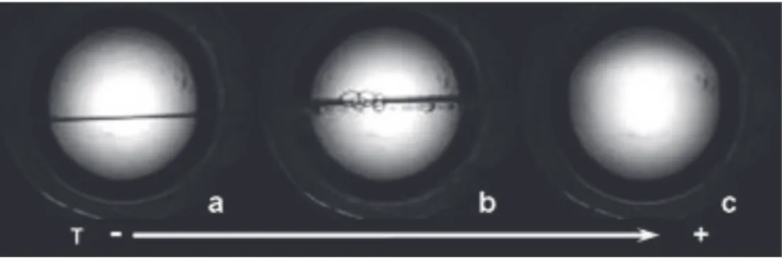 Figure 2: Still photographs illustrating the phase transition observed as SF 6  is  heated through its critical temperature (318.7 K); (a) initial 2 phases [liquid  + gas]; (b) boiling liquid, and rise in the meniscus as a result of volumetric  expansion i
