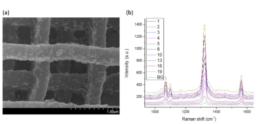 Figure 2.19: (a) SEM image of a woodpile structure decorated with Au NPs. (b) Raman spectra from woodpile structures with different numbers of layer decorated