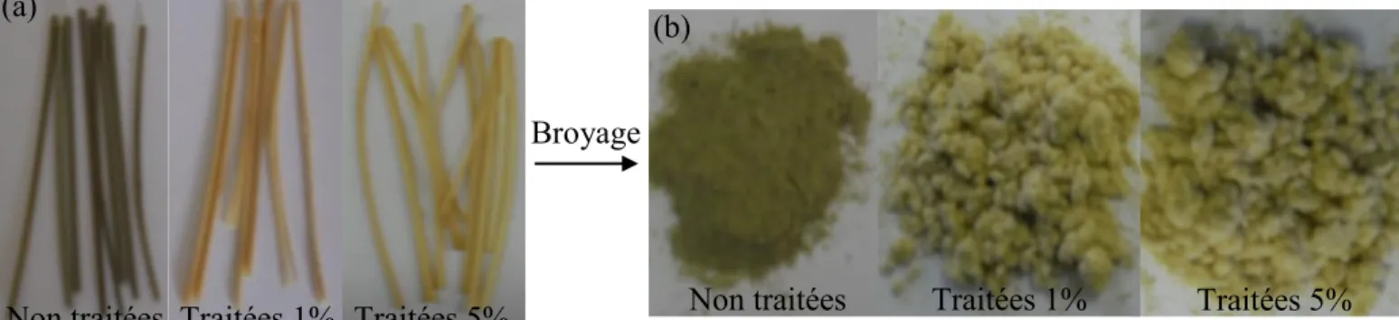 Figure 2.1. (a) Les tiges d’Alfa et (b) Les fibres courtes d’Alfa   II. Elaboration des matériaux biocomposites  