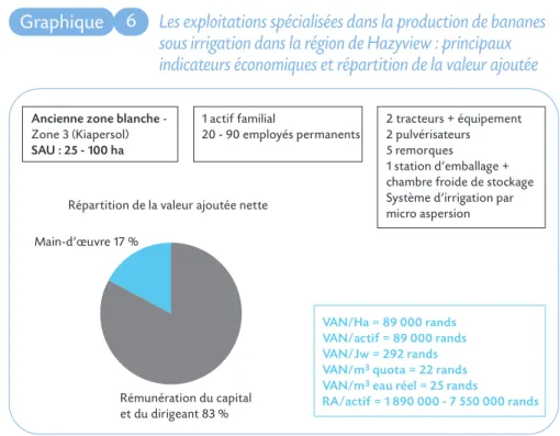 Graphique 6 Les exploitations spécialisées dans la production de bananes sous irrigation dans la région de Hazyview : principaux indicateurs économiques et répartition de la valeur ajoutée