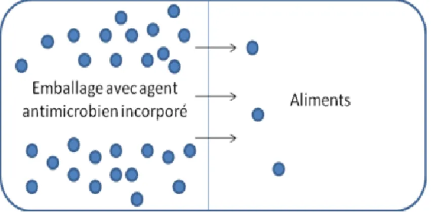 Figure  2 :  Représentation  schématique  d’un  emballage  avec  incorporation  directe  de  l’agent  antimicrobien dans le matériau constitutif 