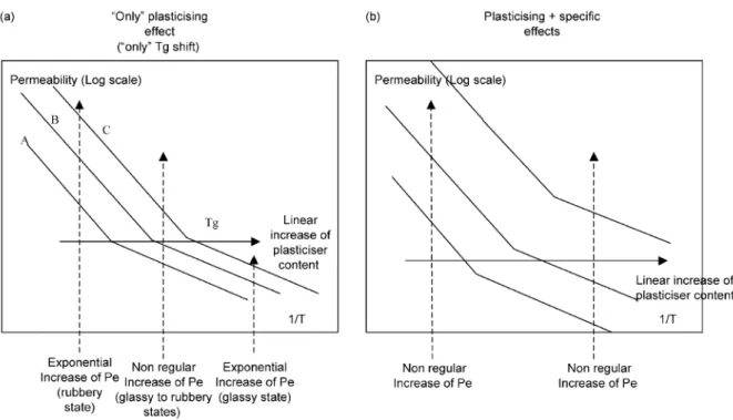 Figure 8 : Illustration de l’effet de la plastification sur la perméabilité (Pe). Courbes  schématiques  (A)-(B)-(C) représentant les taux de plastifiant dans l’ordre croissant[64]