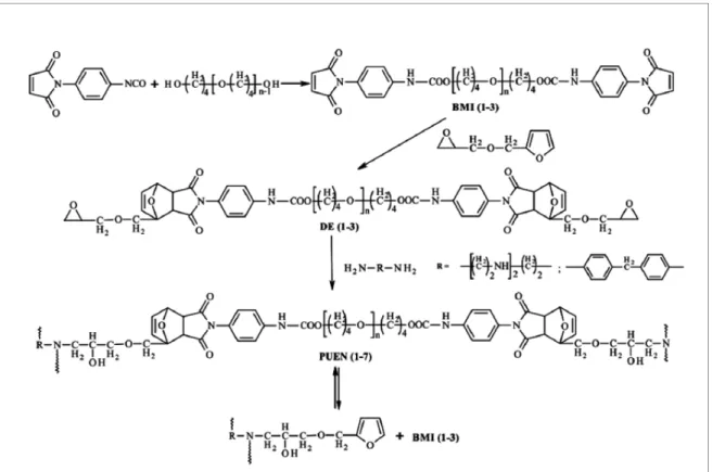 Figure I.4 : Courbes de DSC du réseau époxy-uréthane : H ) 1 er  cycle de chauffage ; H ) 1 er