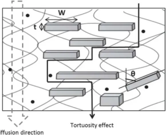 Figure 1: Representation of the tortuosity effect in platelet-based composites 