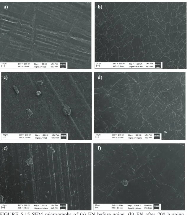 FIGURE 5.15 SEM micrographs of (a) EN before aging, (b) EN after 700 h aging, (c)  EN/Tinuvin 234 before aging, (d) EN/Tinuvin 234 after 700 h aging, (e) EN/S