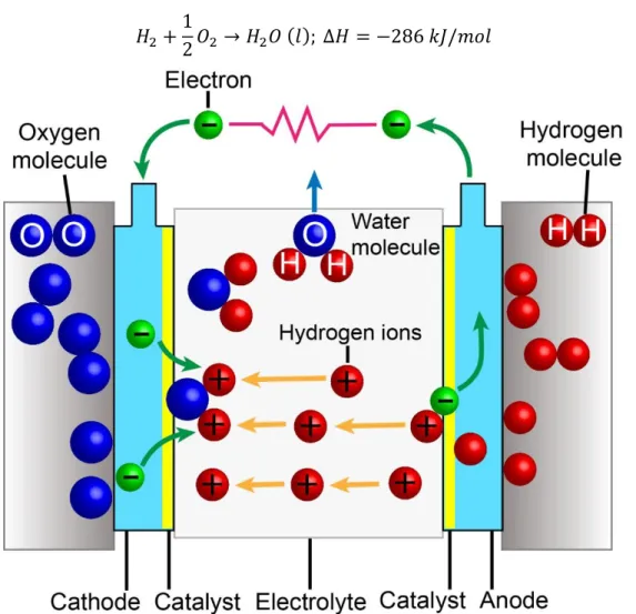 Figure 1.3: Schematic of a hydrogen fuel cell. 