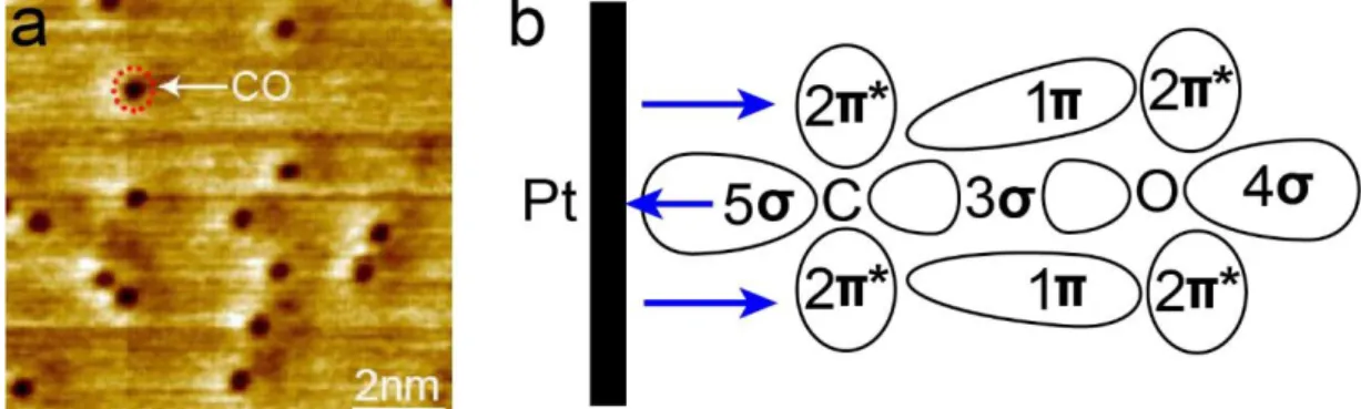 Figure 1.4:  (a)  Our  STM image of Pt(111) surface (tunneling condition:  0.2 V, 500 pA); (b)  Schematic of the Bolyholder model
