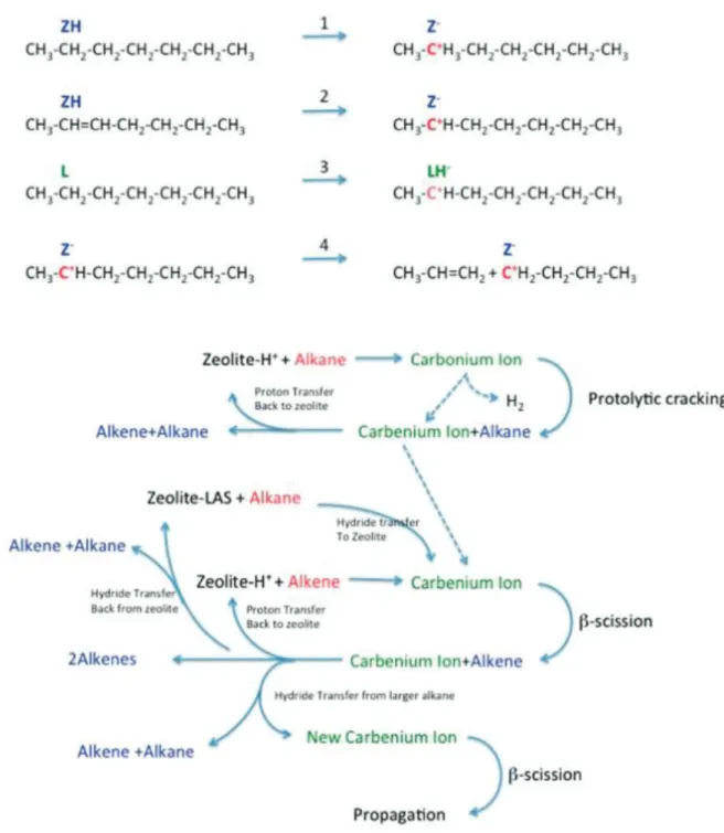 Figure 9. Reaction network in zeolite-assisted cracking of hydrocarbon molecules. (1): proton transfer  from the zeolite Brønsted acid site to an alkane to form a carbonium ion