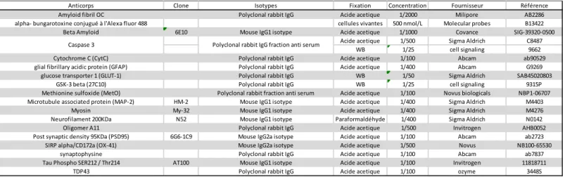 Tableau 6 : Liste et origine des anticorps utilisés dans nos études. 