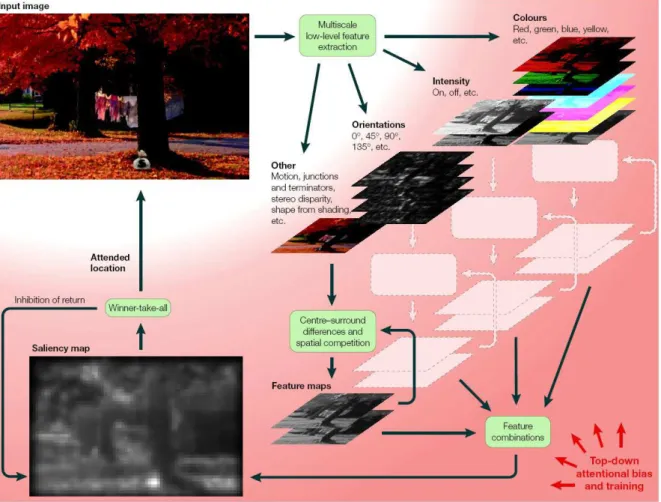 Figure 3.2 Architecture de vision artificielle bio-inspirée de [Itti et al., 1998]. L’image d’entrée (en haut à gauche) est décomposée en cartes de traits caractéristiques à différentes échelles spatiales