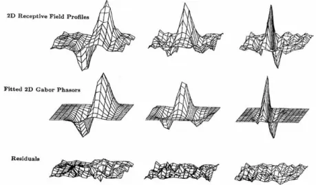 Figure 3.3 Comparaison du profil de réponse spatial des cellules simples du cortex visuel primaire (en haut) et du profil de réponse pour le même stimulus obtenu avec une ondelette de Gabor (au milieu) et des résidus non capturés par cette approximation (e