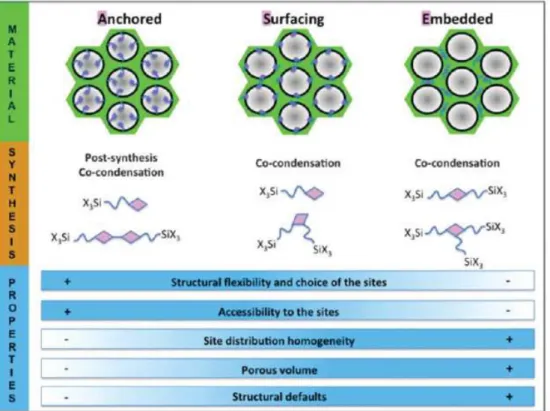 Figure  18.  Comparison  of  different  locations  of  the  functional  groups  in  the  mesoporous silica