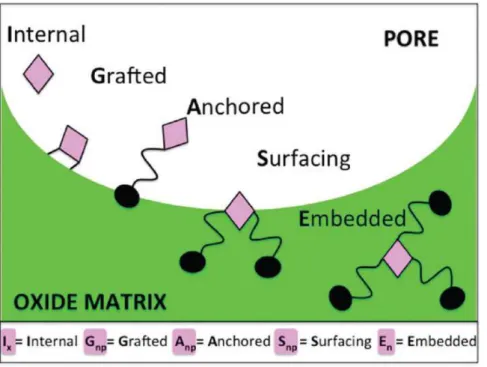 Figure 19. InGASE nomenclature for the location of a function in a porous solid. 71