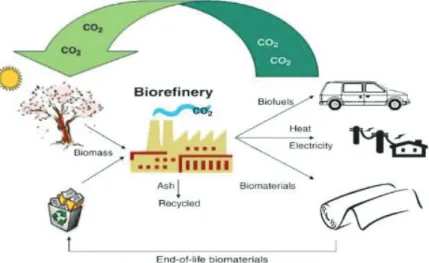 Figure 1 Cycle du carbone induit lors de l’utilisation de la biomasse comme source  d’énergie 2