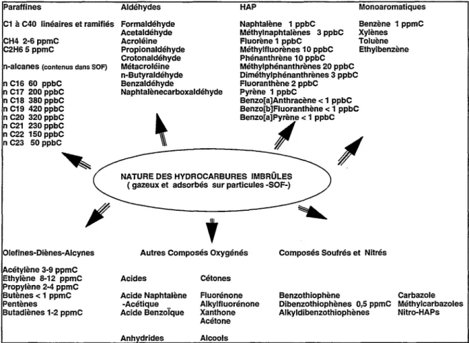 Figure 2 : Nature chimique des hydrocarbures gazeux et adsorbés présents à l'échappement Diesel  (teneurs en exprimées en  volume)