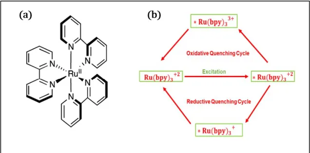 Figure 1.2. a. Homogeneous photocatalyst: Ruthenium polypyridyl complex [8]; visible light active,  absorption at 452nm; b