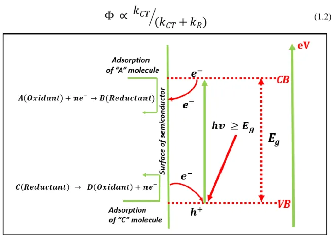 Figure 1.5.  Photochemical reactions on the surface of semiconductor particle upon excitation with  photons possessing energy higher than its band gap