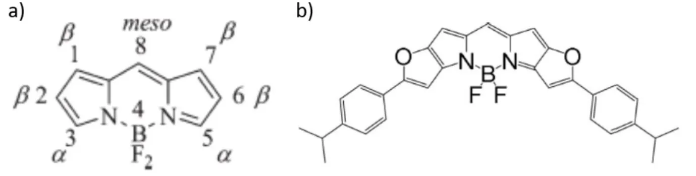 Figure 1.15 Chemical structures of a) the BODIPY core 65  and b) 2,8-bis(4-isopropylphenyl)-difuro[2,3-b][3,2-g]- 2,8-bis(4-isopropylphenyl)-difuro[2,3-b][3,2-g]-5,5-difluoro-5-bora-3a,4a-diaza-s-indacene