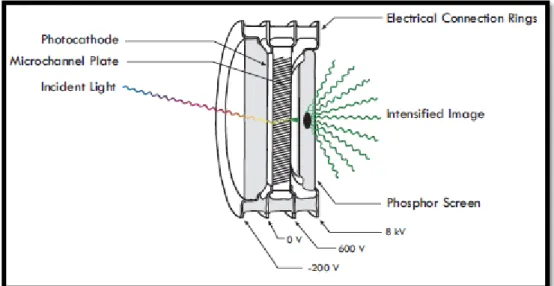 Figure 2.2. Cross-section view of an image intensifier tube utilizes in a Princeton instrument  ICCD camera [55] 