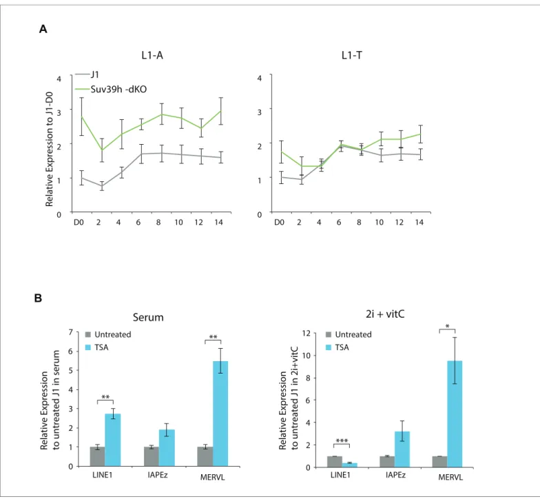 Figure 6. figure supplement 2. Regulation of transposons by HDACs. (A) Expression levels in Suv39h-dKO for L1-A and L1-T families measured by Nanostring nCounter