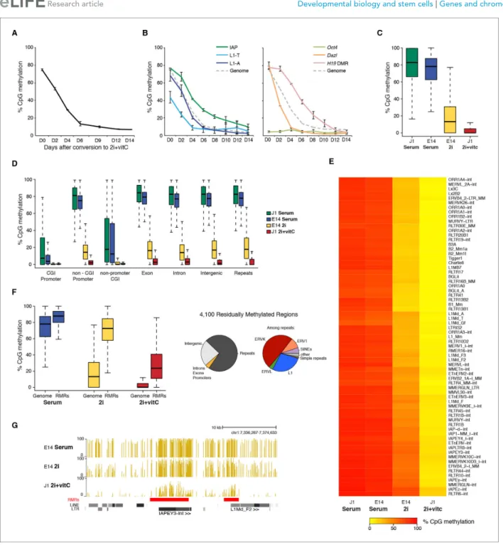 Figure 1. Kinetics and extent of DNA methylation loss in ES cells upon serum to 2i+vitC conversion (A) Time course of global CpG methylation loss measured by LUMA over 14 days (D0 to D14) of conversion from serum to 2i+vitC