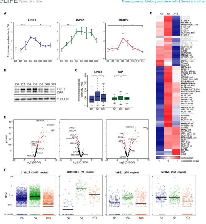 Figure 2. Two phases of transposon regulation upon serum to 2i+vitc conversion. (A) Dynamic expression of LINE1, IAPEz and MERVL families upon conversion from serum to 2i+vitC as measured by RT-qPCR