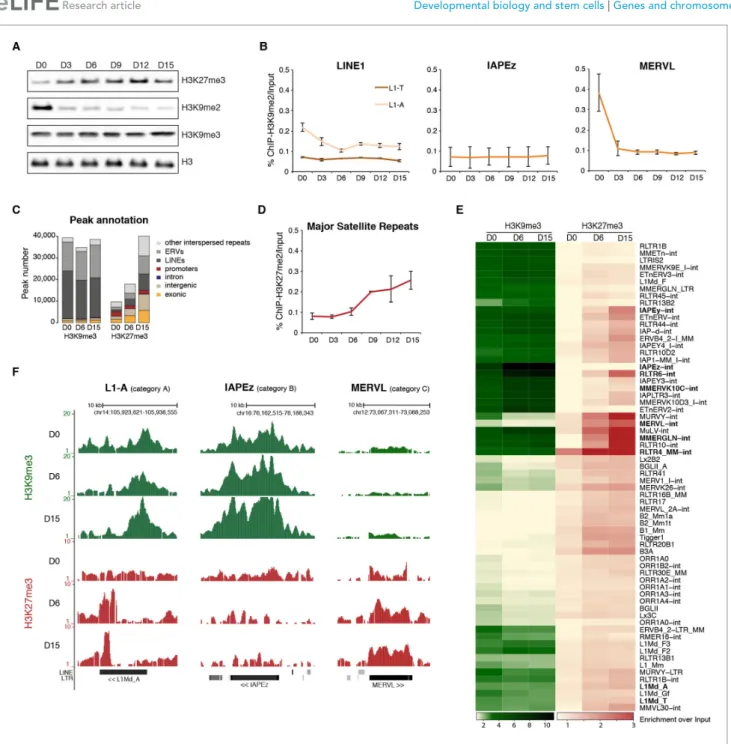 Figure 4. Repressive chromatin reorganization upon loss of DNA methylation. (A) Western blot analysis of global levels of repressive histone modifications during the course of serum to 2i+vitC conversion