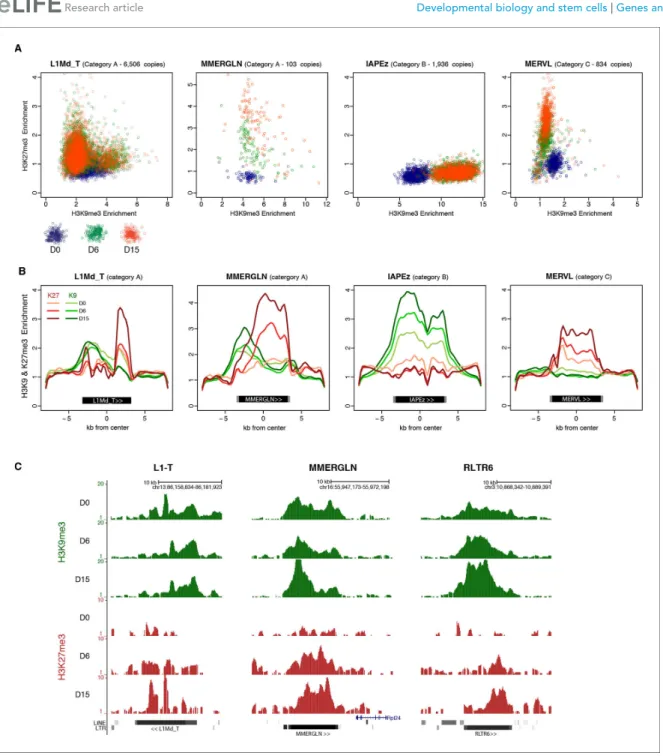 Figure 5. H3K9me3 and H3K27me3 mark the same transposons but do not spatially overlap