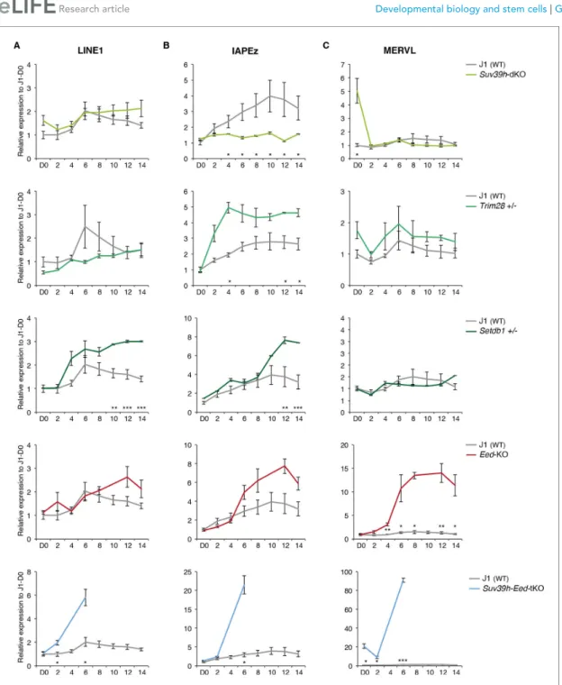 Figure 6. Complex regulation of transposons by SUV39H, TRIM28, SETDB1 and EED upon loss of DNA methylation