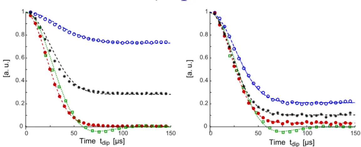 Figure 2. Normalized decay of quantum coherences created from the thermal initial state by evolving for a time τ under the H DQ Hamiltonian