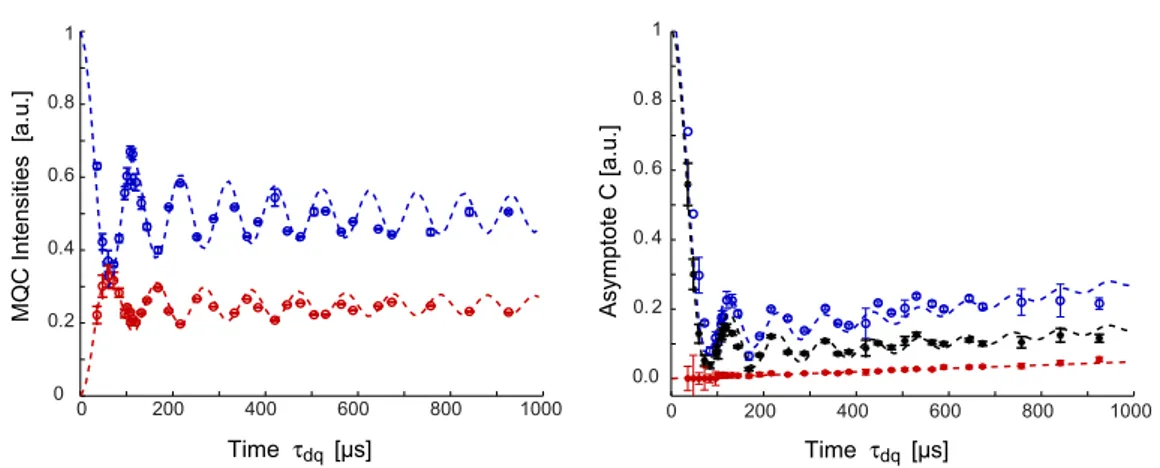 Figure 3. Left: evolution of multiple quantum coherence intensities ( A ZQ blue, A DQ red) starting from the thermal equilibrium initial state
