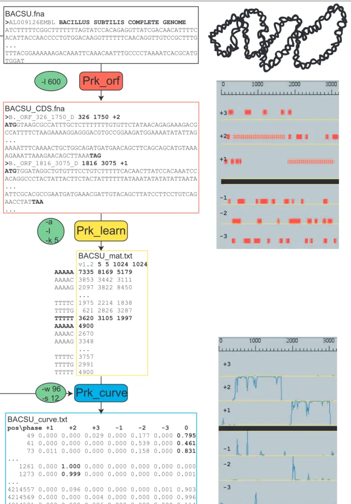 Fig. 3.2 – Les modules Prokov pour la pr´ediction de g`enes procaryotes (annexe C p. 389)