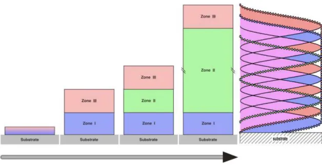 Figure 8. Schematic of the multilayer inner structure by the model of the three  zones (20)