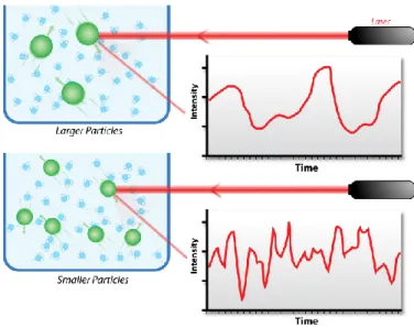 Figure  20.  Different  shapes  of  self-correlation  function  for  the  samples  containing large particles (top) and small particles (bottom) (90)